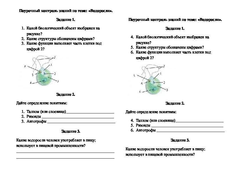 Контрольная водоросли