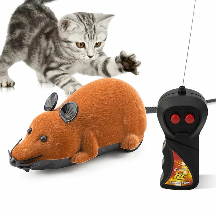 Игрушка для кошки. Игрушки для котов. Игрушка для кошки. Hexbug cat toy - deluxe pack plus remote control 420-6393. Мышь электрическая для кота.