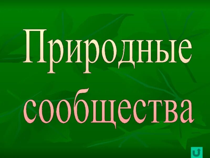 Презентация по теме природное сообщество 5 класс