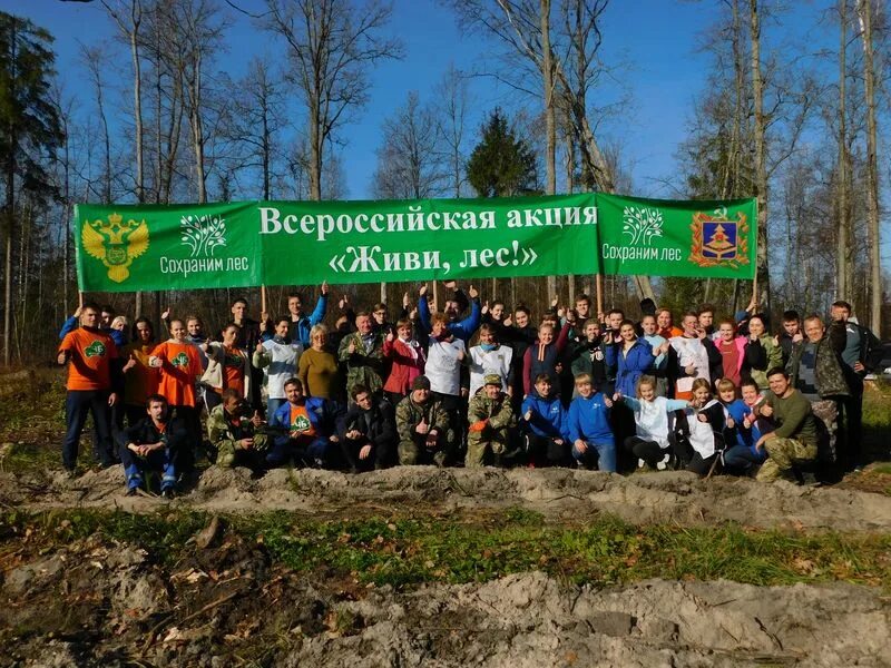 Российский день леса" - информационный час, викторина 2023, Сабинский район - да
