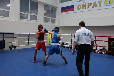 Ойрат элиста