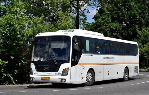 Автобус 37 купавна станция
