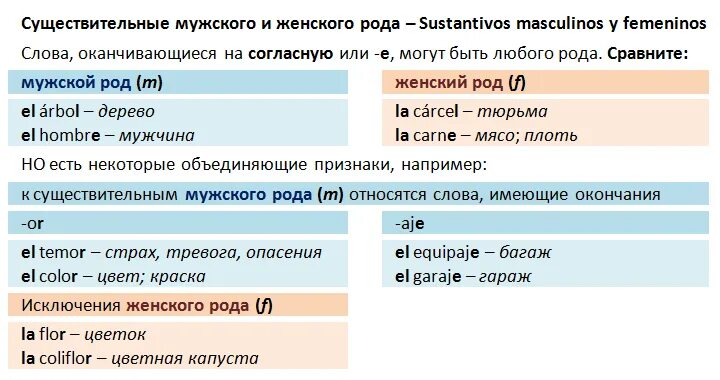 Отметь существительные мужского. Существительные только мужского рода. Исключения мужского рода в испанском. Определение женского и мужского рода в испанском языке.