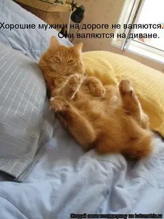 Песни мужики на дороге не валяются