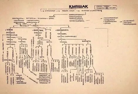Әйелімді медициналық тексеруге әкелдім порно
