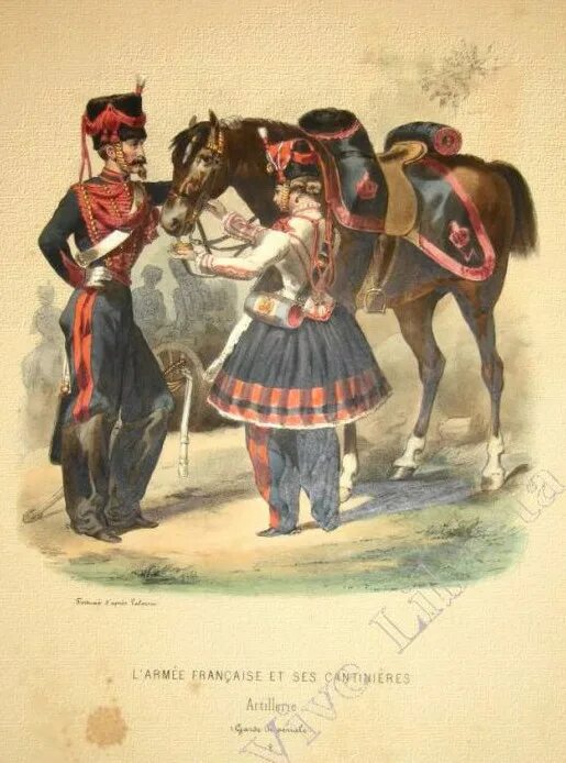 маркитантка 1812. маркитантки 1812 бородино. французская маркитантка. французские маркитантки 1812 года. маркитант.