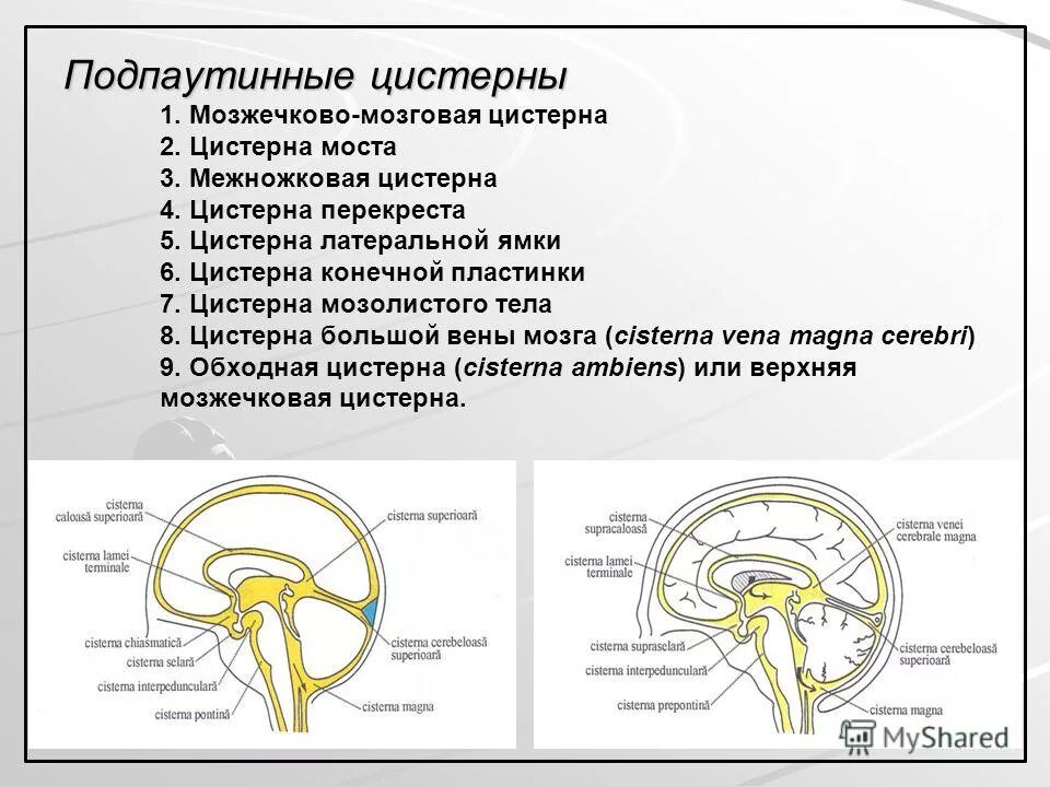 Цистерна головы. Цистерны подпаутинного пространства головного мозга. обходная цистерна головного мозга. базальные цистерны мозга анатомия. расширение ретроцеребеллярной цистерны.