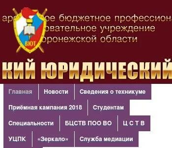 Воронежская область бюджетный колледж