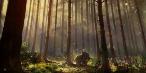 Forest 1 6