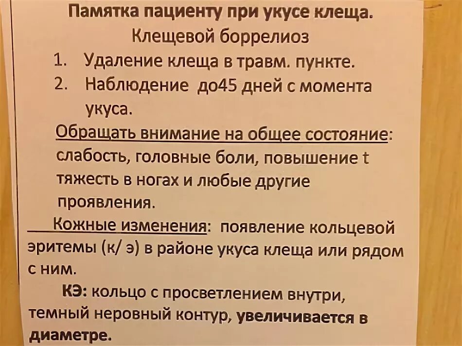 Укус клеща анализы. Куда сдать клеща на анализ. После укуса клеща какие анализы нужно сдать. Куда сдать клеща на исследование. Куда можно сдать клеща на анализ.