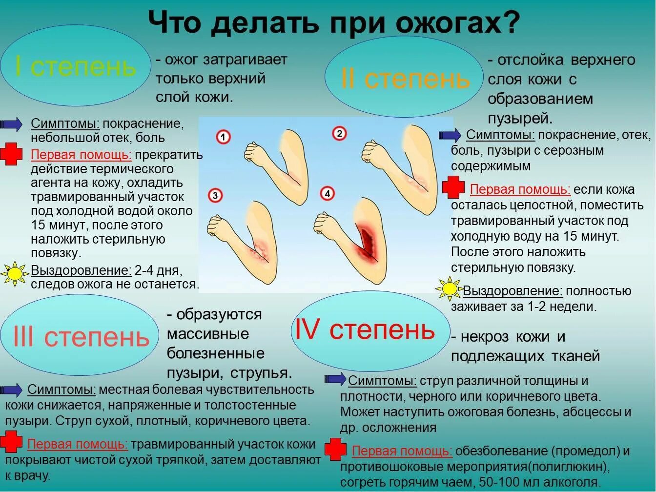 Какая жидкость в ожоге. Что делать если объжекся.