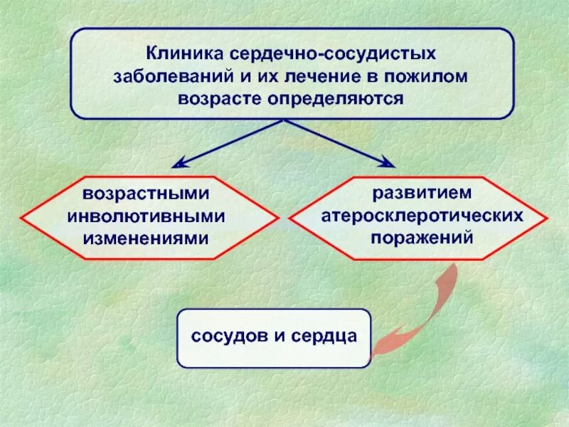 Центр сердечных заболеваний. Центр сердечных заболеваний