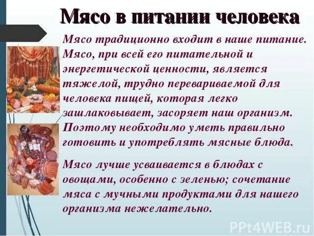 Почему мясо должно присутствовать в рационе. Польза мяса. Мясо в питании человека. Важность мяса в питании. Польза мяса в питании человека.