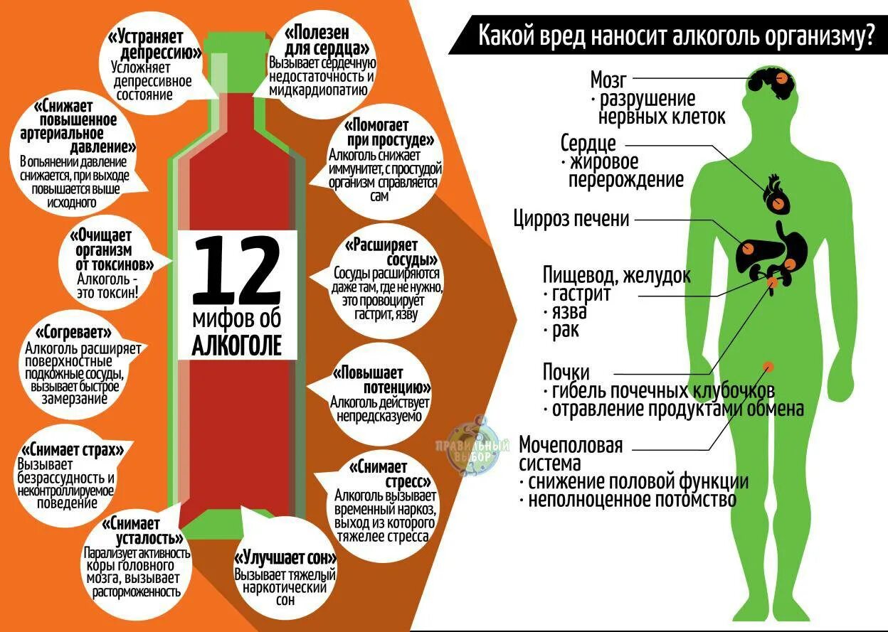 Алкоголизм инфографика. Инфографика алкоголь. Вызывает потенцию