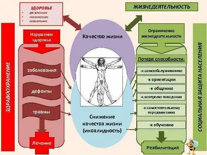 Ограничение жизнедеятельности и ограничение здоровья