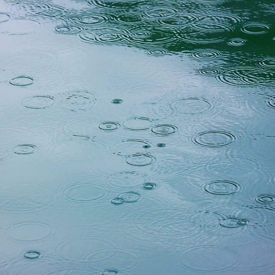 Raindrops отзывы. Рейн с водой. Rain Ripples. Круги на воде от капель дождя. Water Ripples панель.