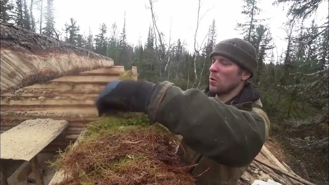 Жизнь в зимовьях видео. Жизнь промысловиков в тайге. охотники промысловики жизнь в тайге. охота в тайге и жизнь в зимовье. охотник в тайге.