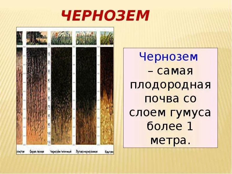 Какая природная зона самая плодородная почва чернозем. Черноземы почвы 8 класс. Тип почвы чернозем. Что такое почва 4 класс. Черноземные почвы 4 класс.
