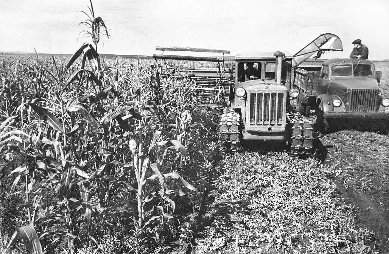 На городе колхоз. Хрущев колхоз в совхоз. совхоз и колхоз 1950. целина 1954 хрущев. колхозы в годы войны 1941-1945.