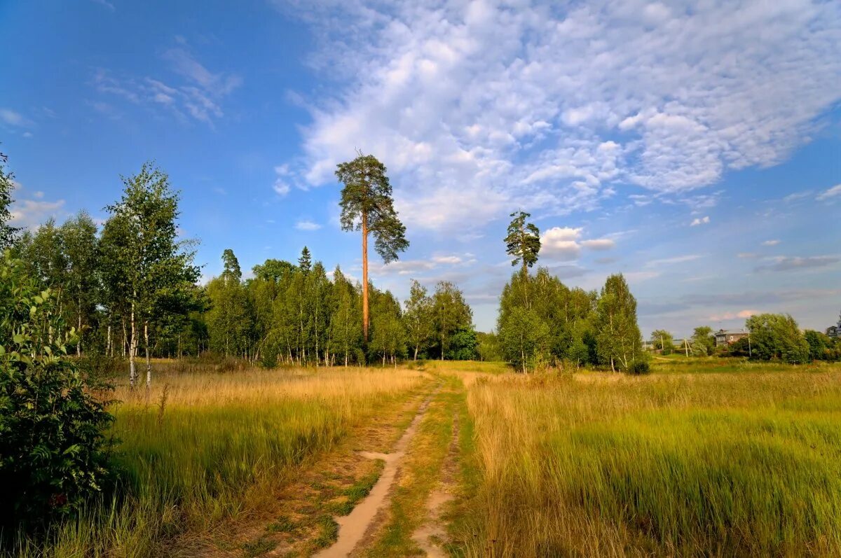 Подмосковье