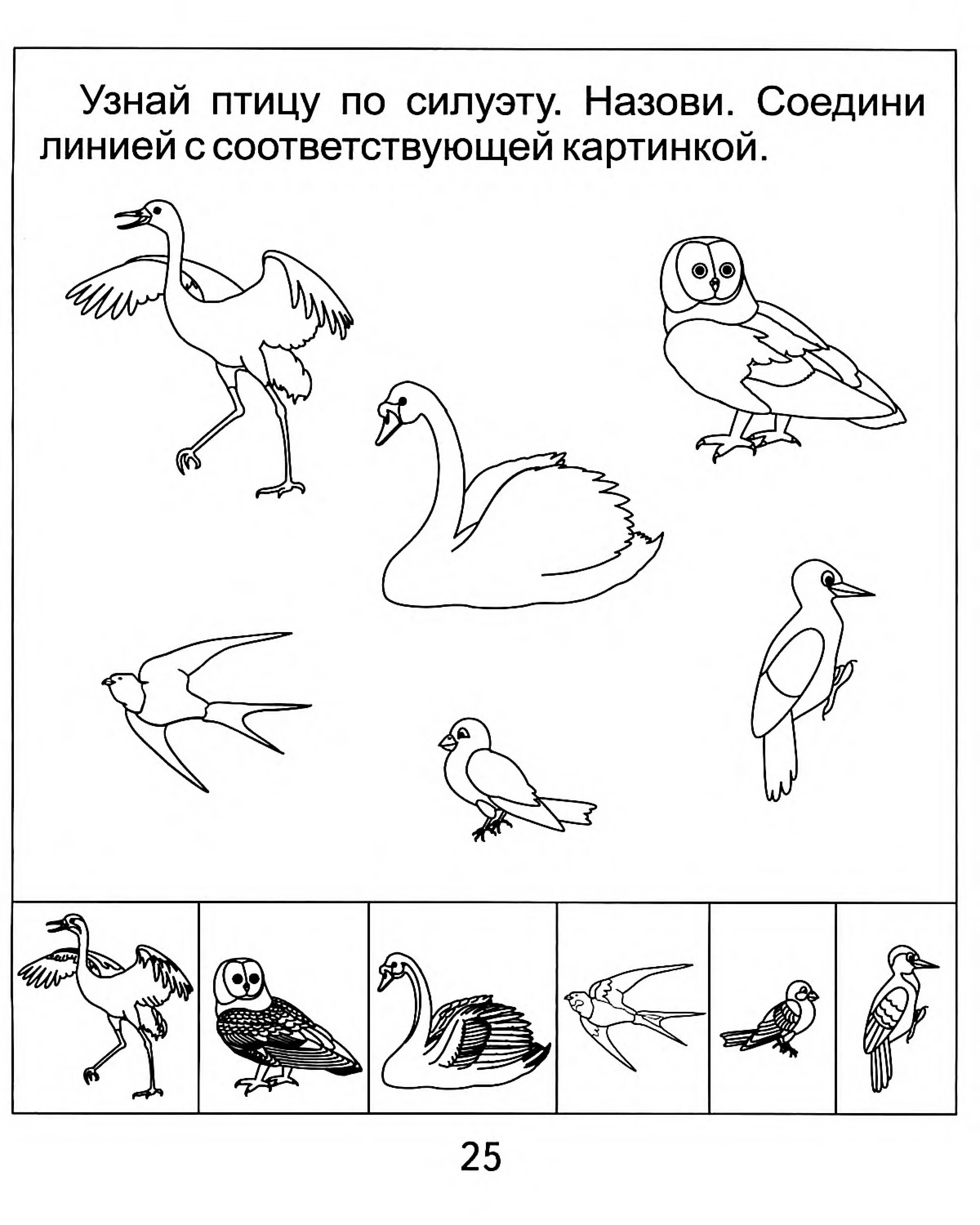 Задания про птиц. Задания для малышей зимующие и перелетные птицы. Задания для детей перелетные и зимующие птицы. Задания для детей по теме перелетные птицы. Зимующие птицы логопедические задания для дошкольников.