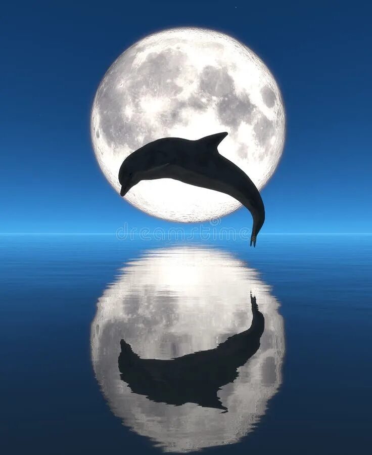 Луна дельфины слушать. Дельфин Луна. Луна дельфины. Рисунок Луна и Дельфин. Два дельфина под луной.