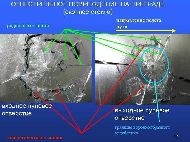 Повреждение причиненное ударом. Огнестрельное повреждение стекла. Огнестрельные повреждения на преграде. Входное отверстие огнестрельного ранения. Следы выстрела на стекле.