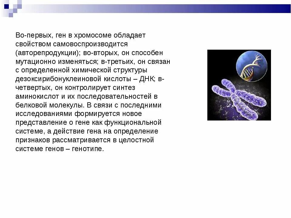 Авторепродукция хромосом. Первый ген.. Авторепродукция генетического материала. К авторепродукции способны. Ген 1 телефон