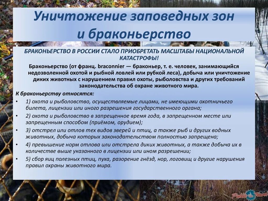 Добыча объектов животного. Уничтожение заповедных зон и браконьерство пути решения. Браконьерство экологическая проблема решение. Браконьерство экологическая проблема в России. Уничтожение заповедных зон и браконьерство экологическая проблема.