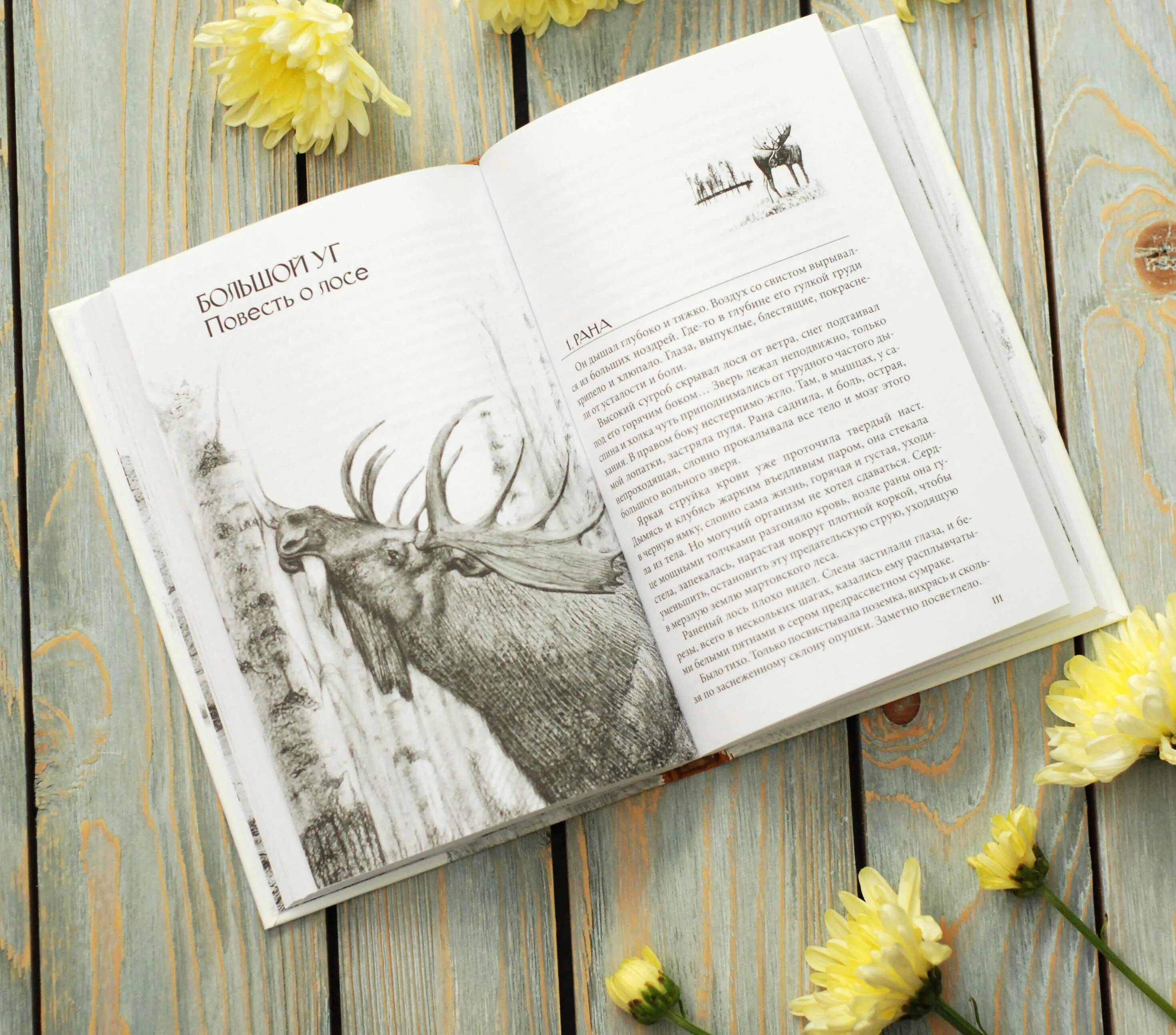 Среди эльфов и троллей книга. Норвежский тролль раглефант. Йон бауэр среди эльфов и троллей иллюстрации. Среди эльфов и троллей (отражения. Отзывы лось и тролль.