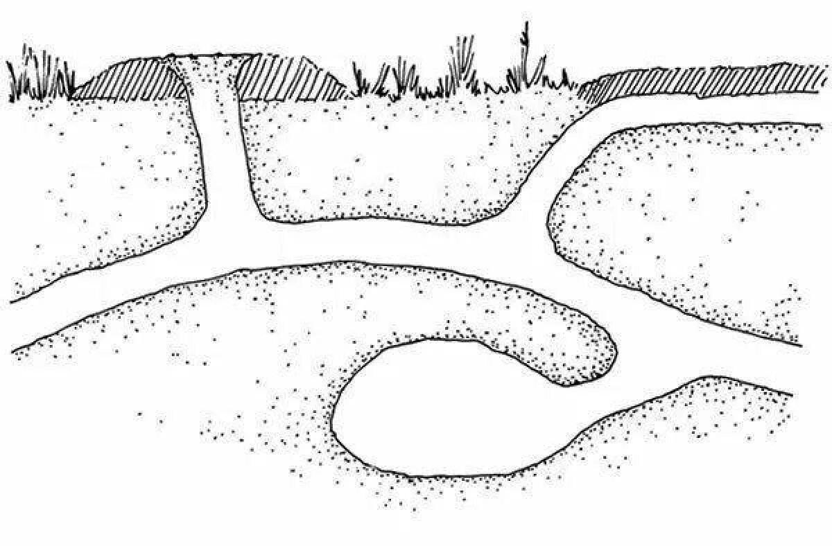 2 земляные норы. Схема Норы крота. Норы Сурков схема.