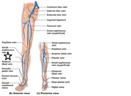 Ice veins