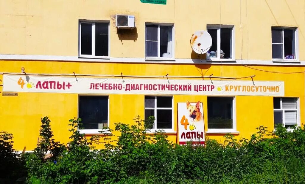 ветеринарный центр 4 лапы. ветеринарная клиника 4 лапы москва. 4 лапы ветеринарная клиника щелково. четыре лапы владивосток ветклиника. ветеринарная клиника 4 лапки челны.