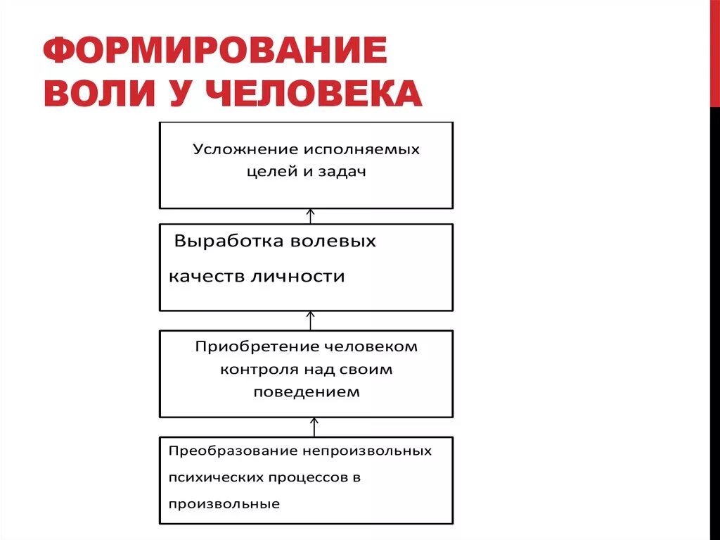 Пути становление личности. Этапы развития воли в психологии. Формирование воли. Развитие воли у человека. Этапы формирования воли.