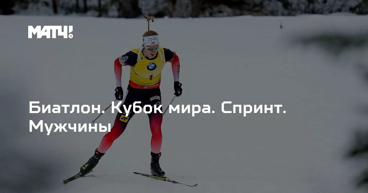 Биатлон спринт прогноз. Биатлон спринт прогноз