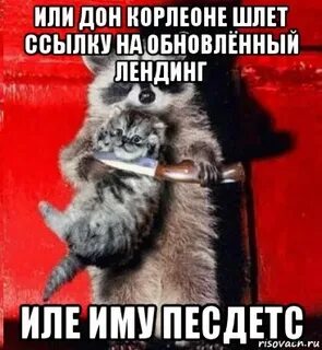 Скинь деньги пушистик