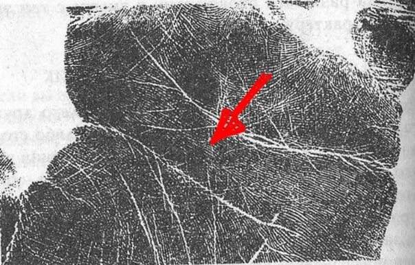 По линии сердца дракона читать. Датировка линии сердца. Разорванная линия сердца. Ответвления от линии сердца. Ветка на линии сердца.