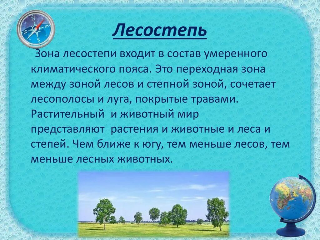 Доклад четвертый класс окружающий мир