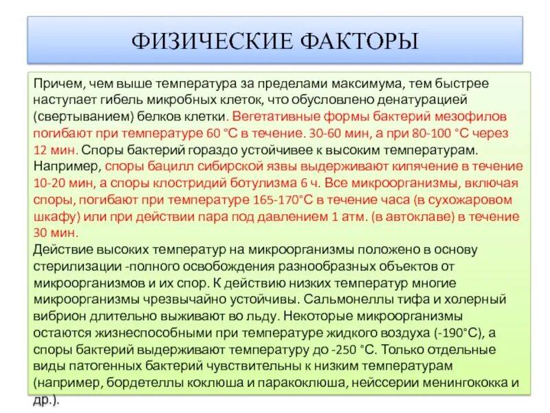 Бактерии гибнут от. Вегетативные формы бактерий. Вегетативные формы микроорганизмов это. Вегетативные виды микроорганизма это. При какой температуре гибнут бактерии.