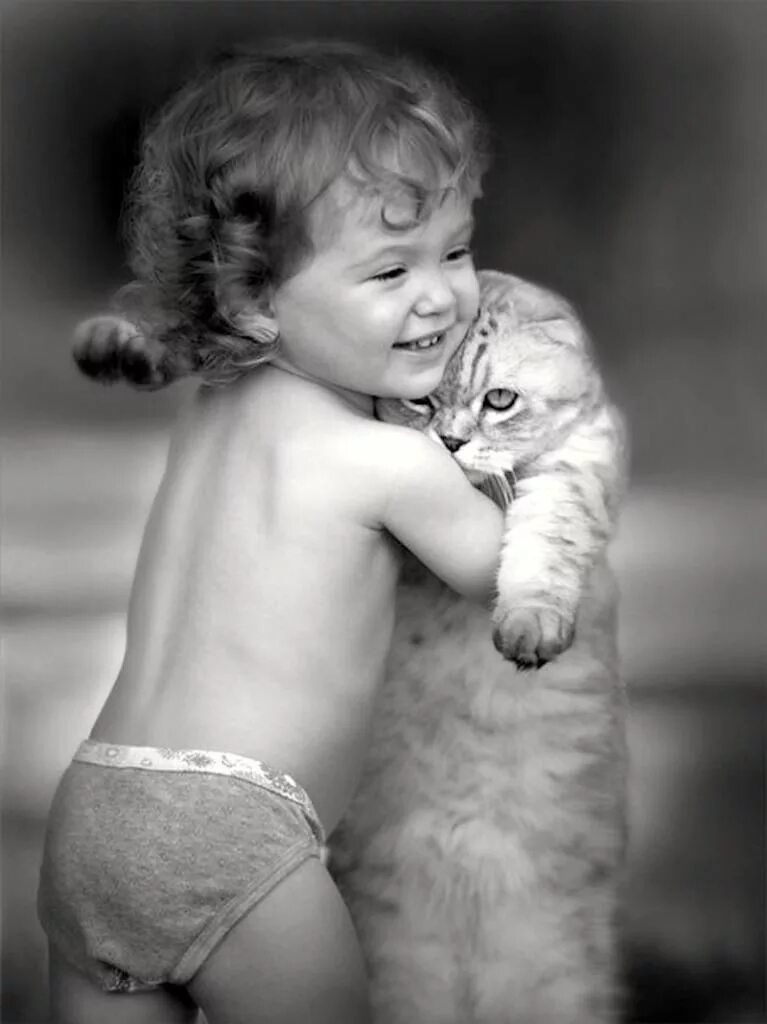 Обнимаю прикол. Маленькие дети и кошки. Кот для детей. Забавные дети и животные. Ребенок обнимает кошку.