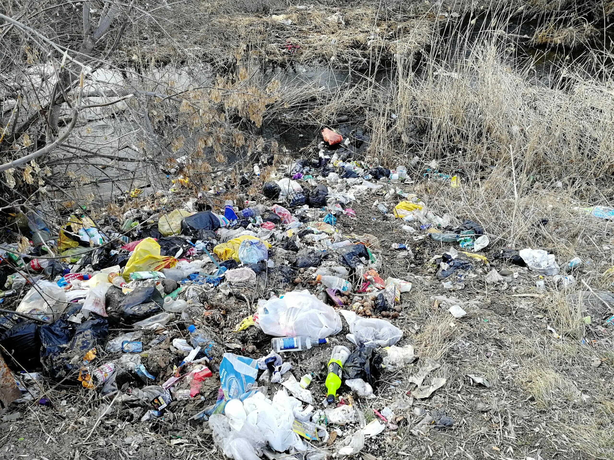 Загрязнение мусором окружающей. Экологические проблемы. Экология мусор. Загрязнение мусором окружающей среды.