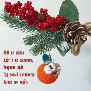 Удачи в январе