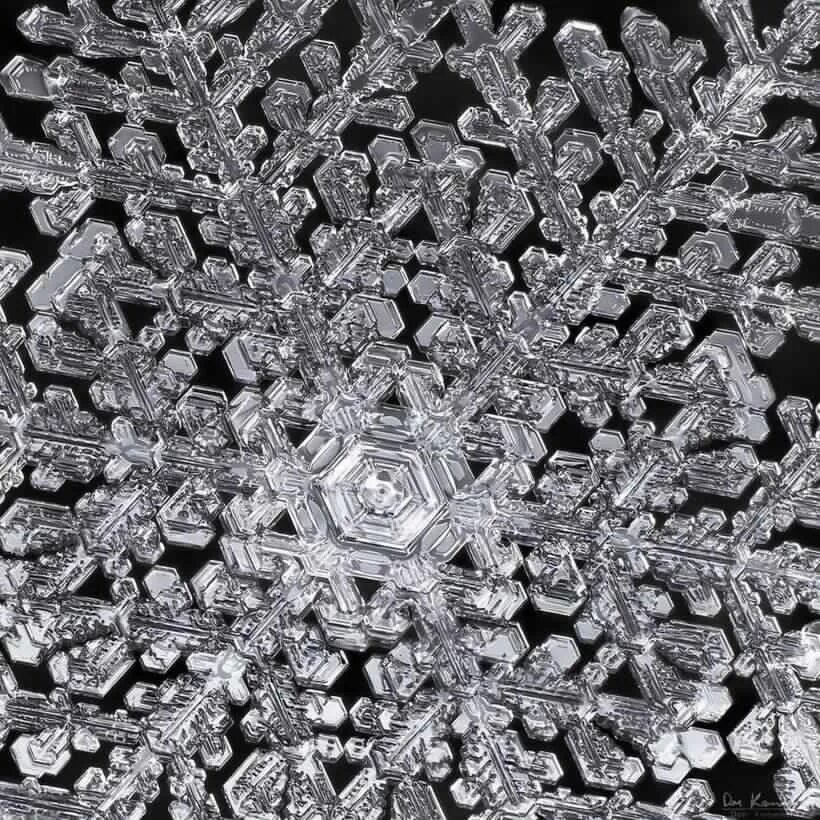 Снежинка под микроскопом. Формы снежинок в природе. Структура снежинки под микроскопом. Снежинка под микроскопом. Снежинки од микрскопом.