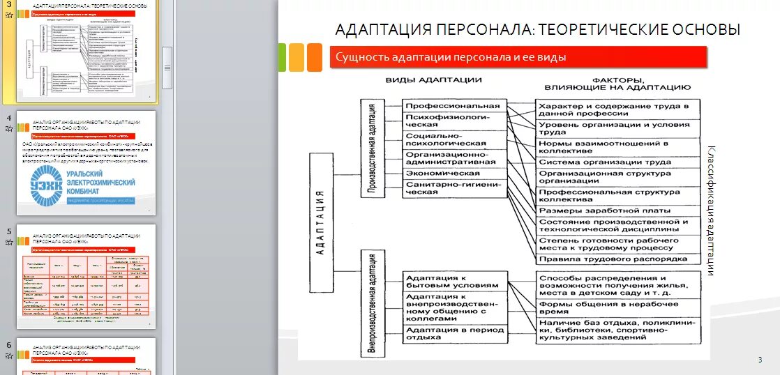 Примеры адаптации в организации