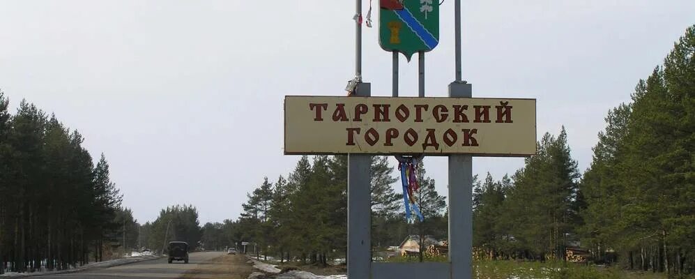 Музей тарногский городок. Малаховский бор тарногский городок. Тарнога вологда. Тарногский городок вологодская область. Дом музей пчелы тарногский городок.