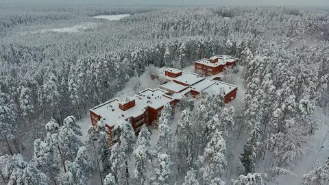 Ольшаники выборгский