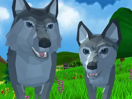 Wolf k3