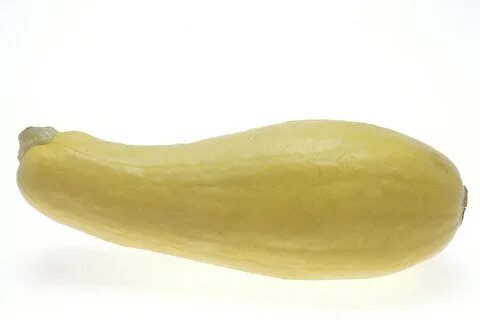 Squash vegetable