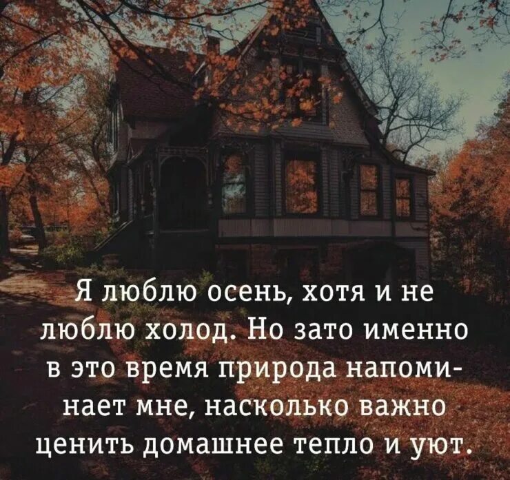 Осень цитаты из книг. Цитаты про осень. афоризмы осенние. осенние уютные цитаты. осень мысли высказывания.