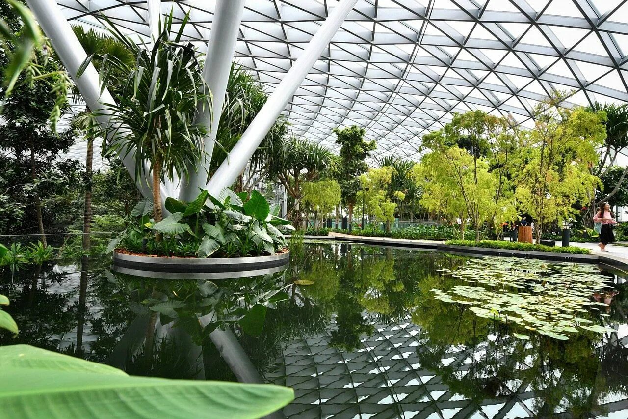 Чанги сады. Сингапурский Ботанический сад Сингапур. Аэропорт Jewel Changi, Сингапур. Сад бабочек в аэропорту Чанги, Сингапур. Сингапурский аэропорт Чанги сад.